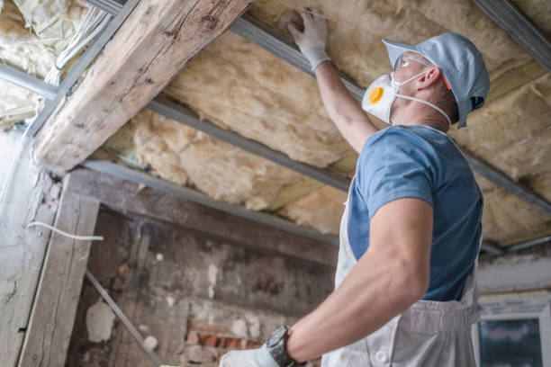 Best Eco-Friendly Insulation in Fairmount, IN